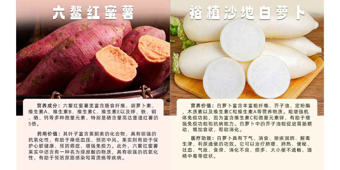 1719301672488232.jpg 产品介绍2.jpg