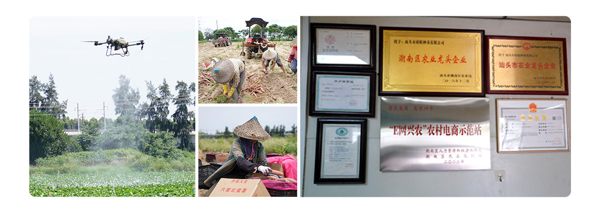 1719304422125214.jpg 公司介绍.jpg