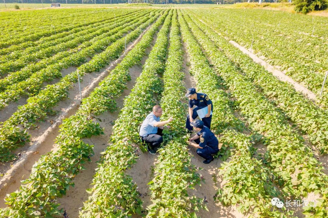 1720250955946348.png 图片2.png