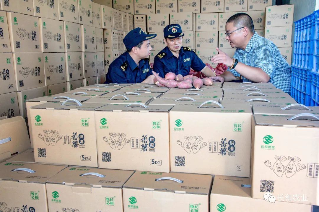 1720252625166949.png 图片3.png