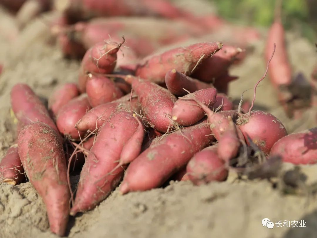 1720252720268438.png 图片4.png